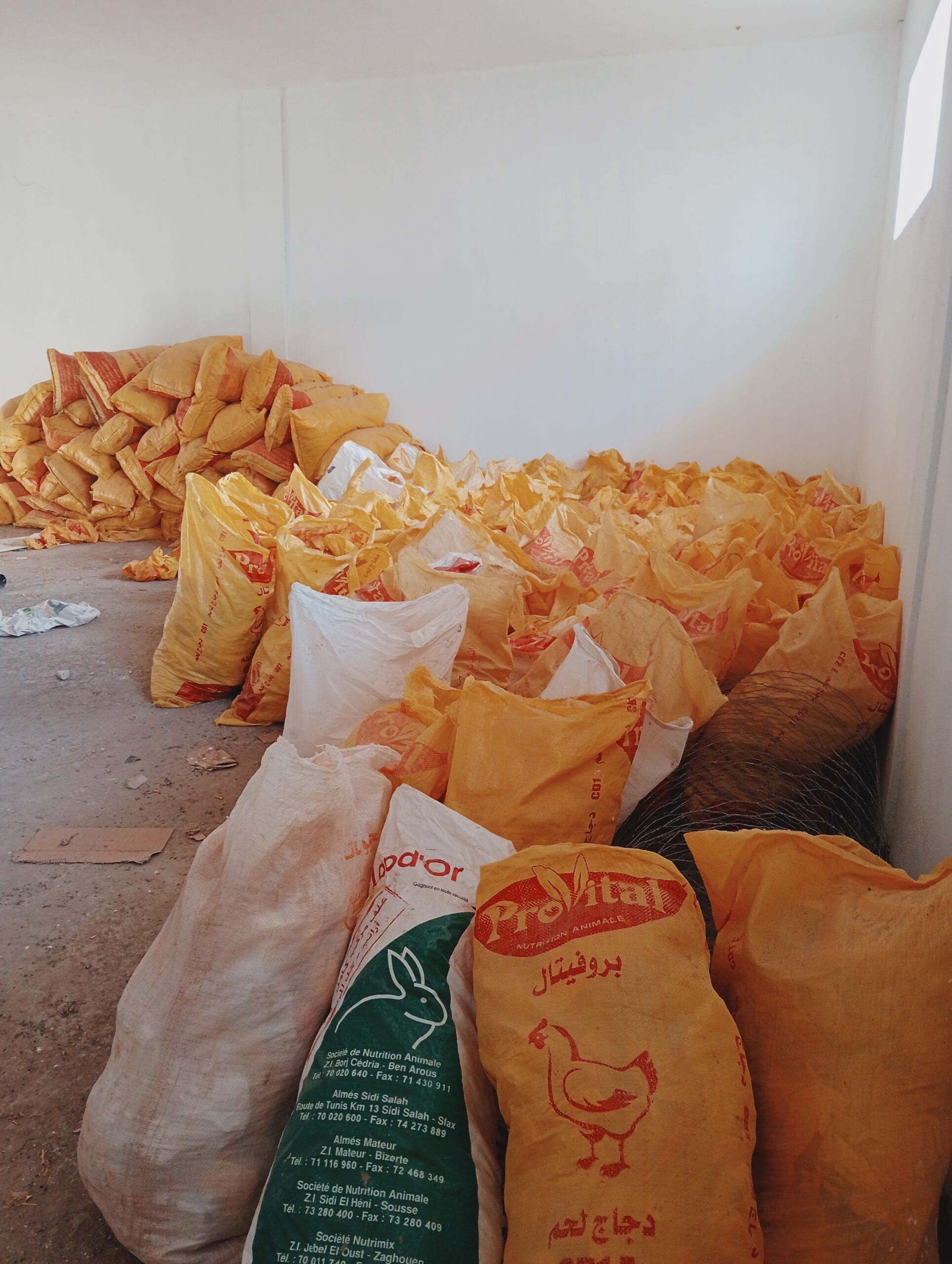 شكاير علف مستعملة 50kg