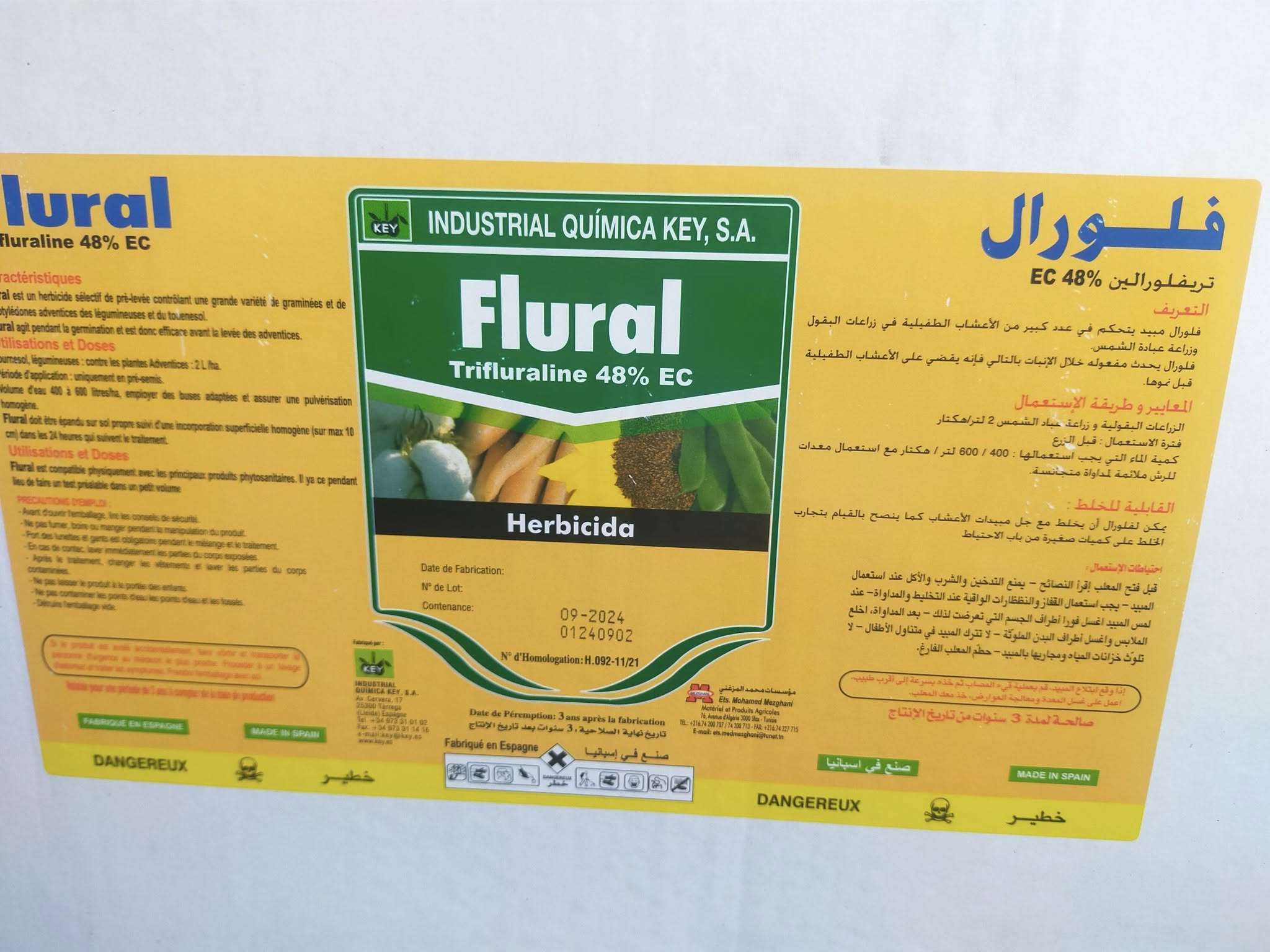 فلورال-flural - الصورة 2