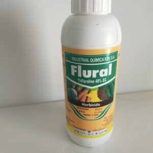 فلورال-flural