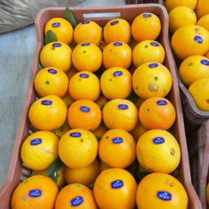 طومسون كاليبر صغير