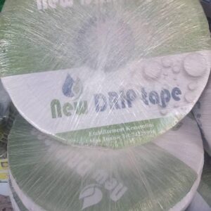 رولو جيتبلي