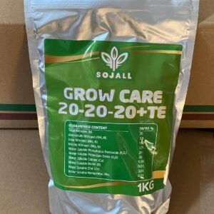 20-20-20 foliaire