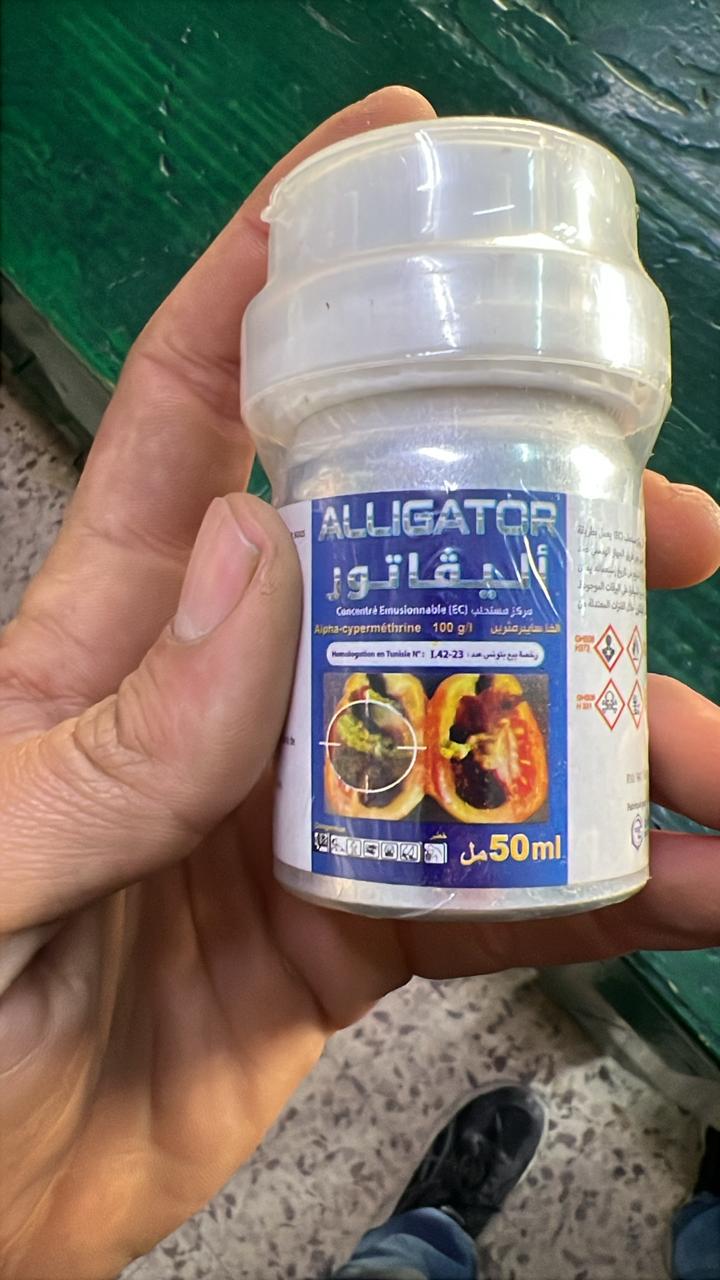 alligator 50 ml
